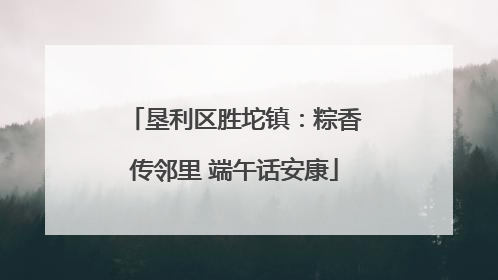 垦利区胜坨镇：粽香传邻里 端午话安康